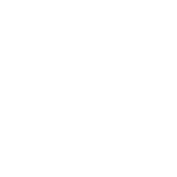 Smith Born Leventis Taylor & Vega, LLC